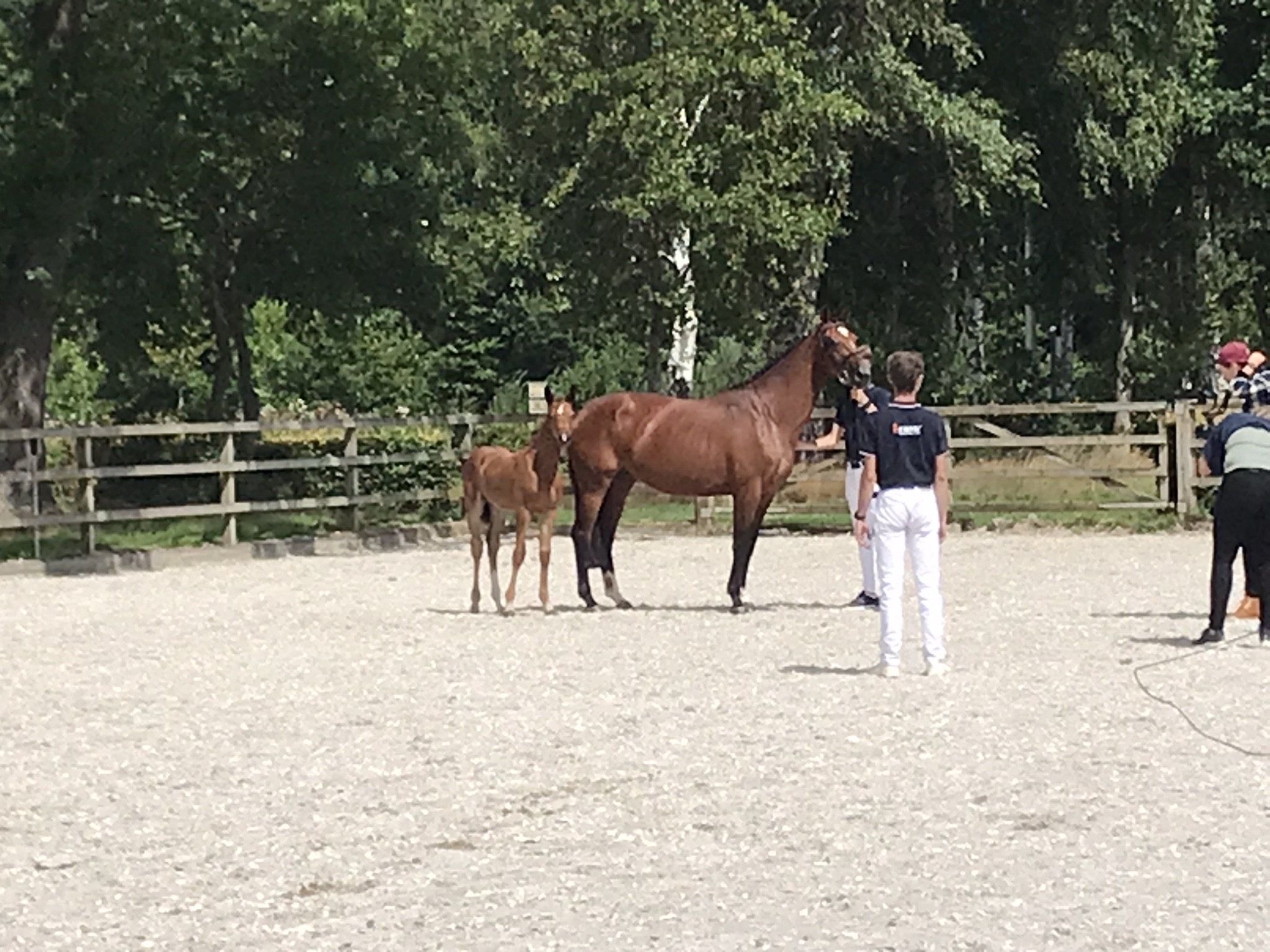 So Nanda - Image 3